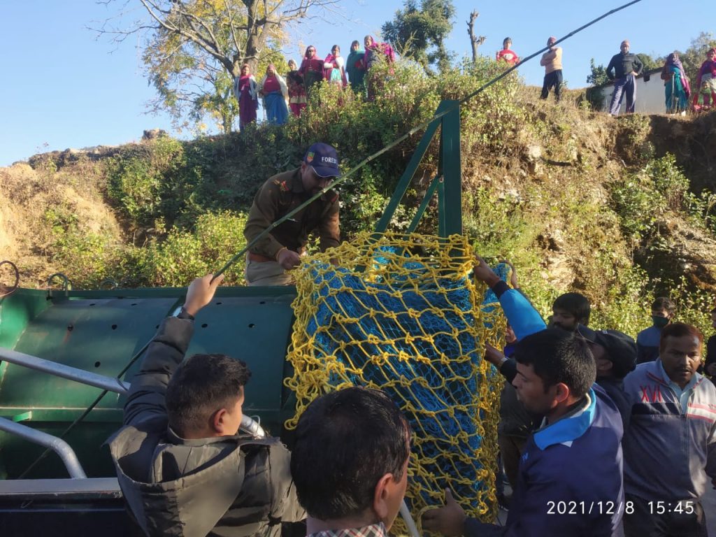 How an IFS Rescued a Young Himalayan Black Bear and Released It Back ...