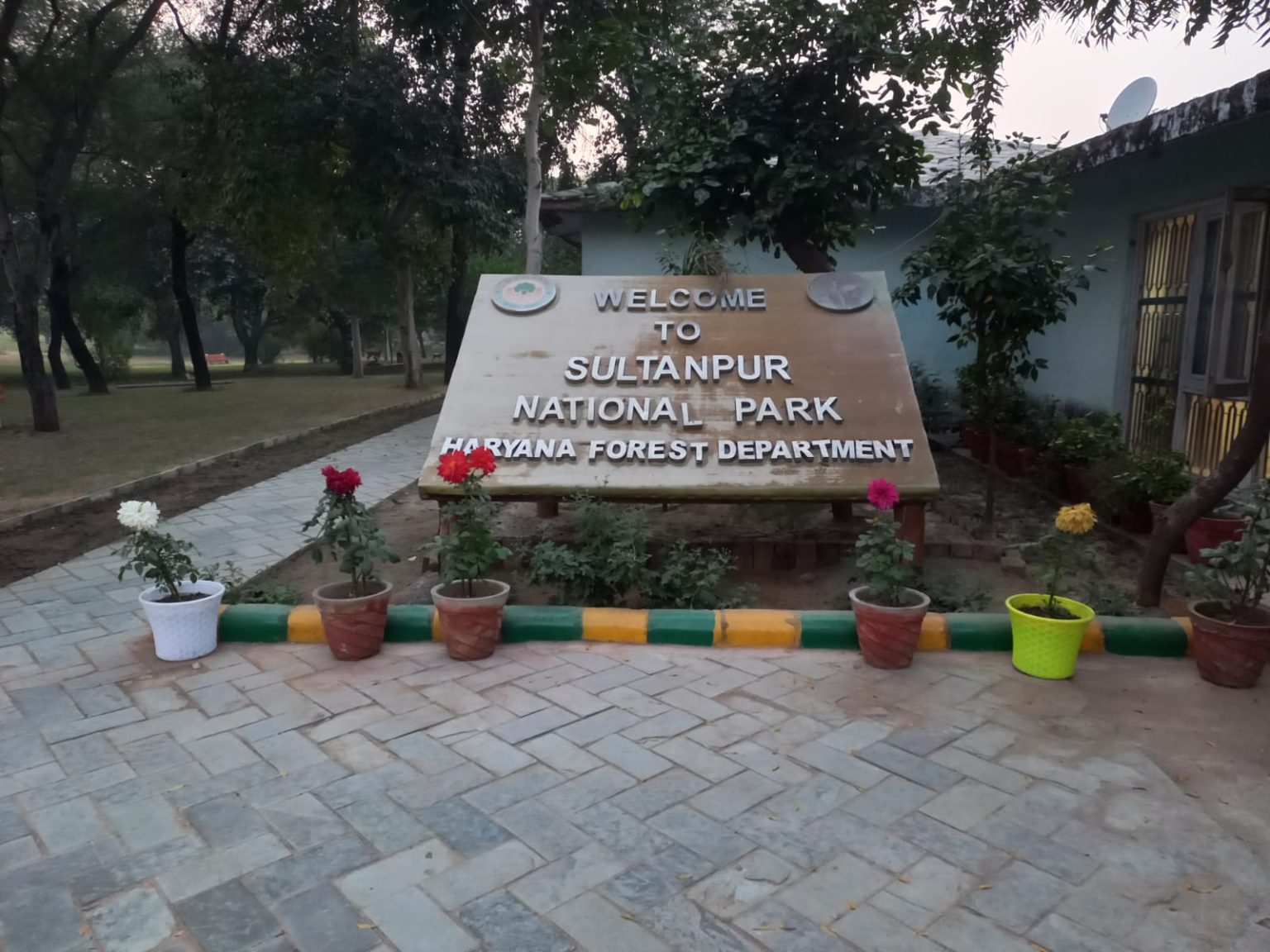 forty-new-tree-groves-for-birds-at-sultanpur-national-park