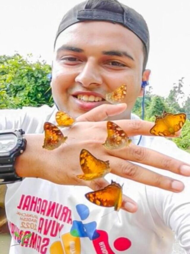 The Butterfly Man of Arunachal Pradesh