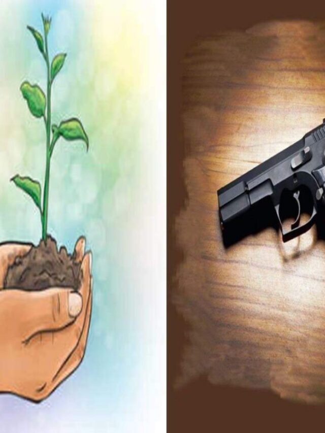Plant 5 Trees to Get Gun License Renewed