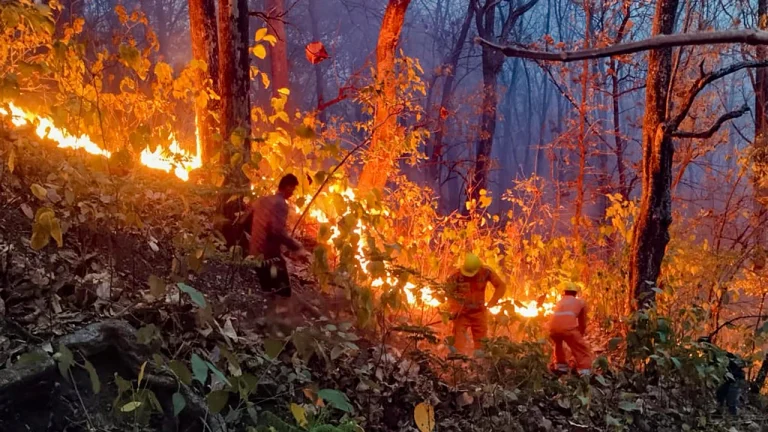 uttarakhand-forest-fire
