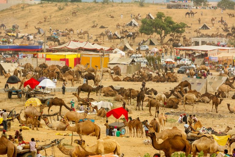 pushkar-fair