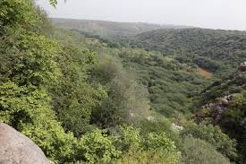 Aravali Safari Park Project1