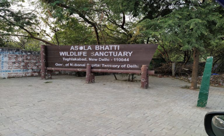 AsolaBhattiWildlifeSanctuarypicture