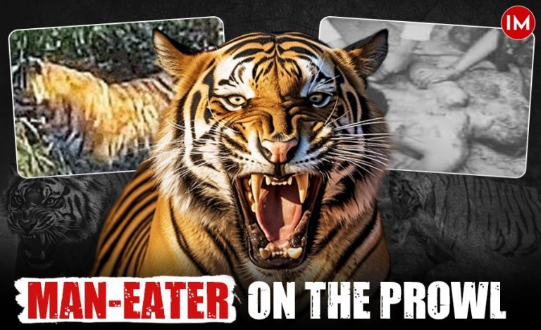 Tiger Pilibhit