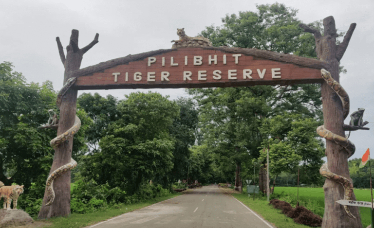 Pilibhit Tiger Reserve