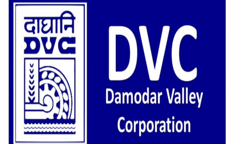 DVC logo