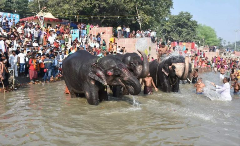 Sonpur Mela Fair