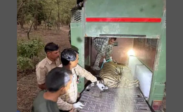 Ranthambore Tiger Reserve