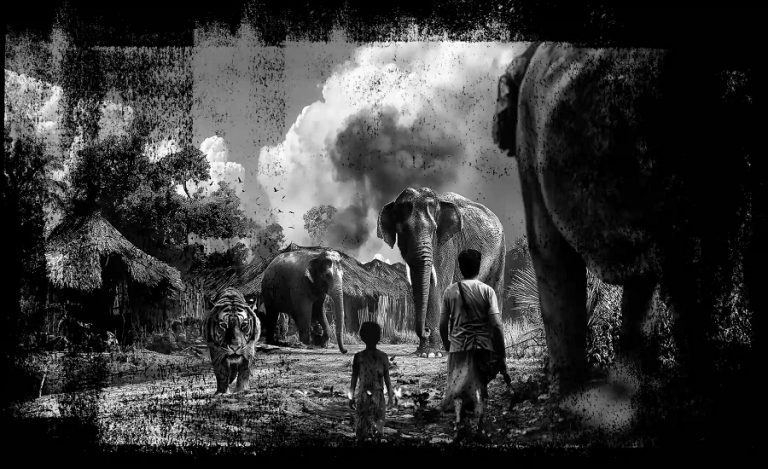 Human-Wildlife Conflict India