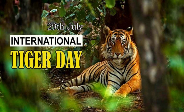 International-Tiger-Day-