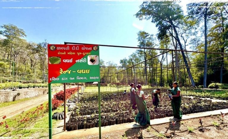 Lakhpati Didi Yojana South Dang