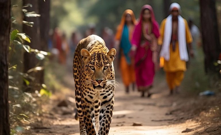 Leopard Threat on Kanwar Yatra