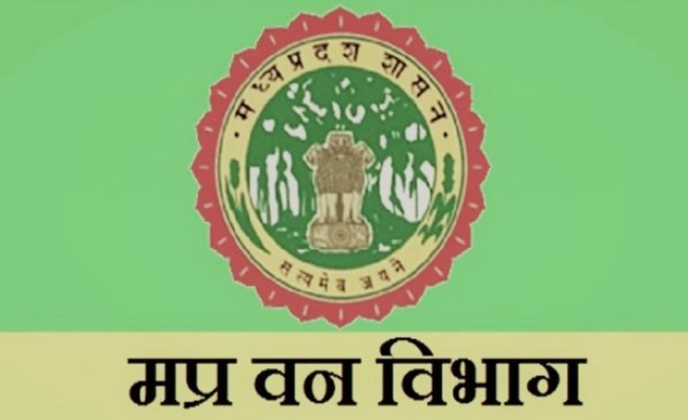 MP Forest Development Corporation
