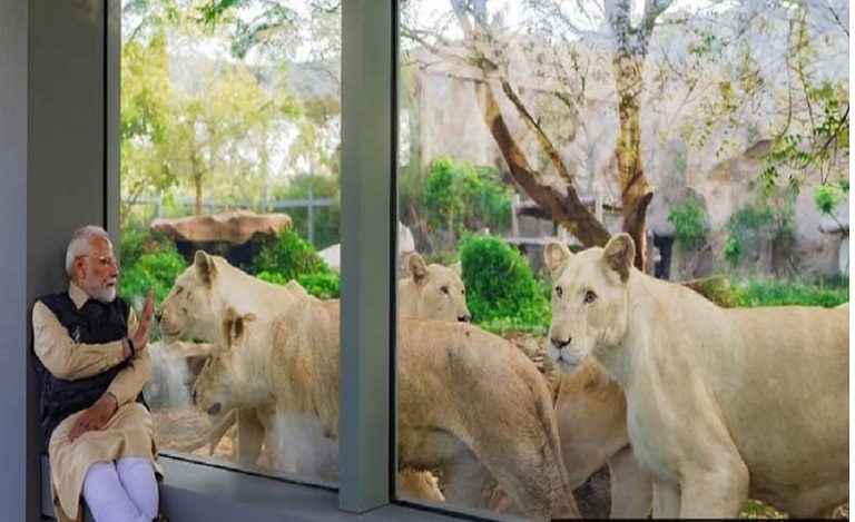 Madhya Pradesh wildlife rescue centers