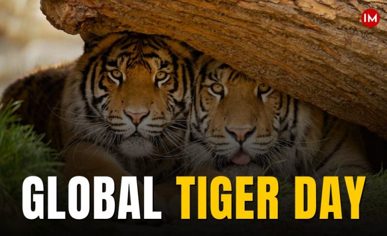 Global Tiger Day 2025