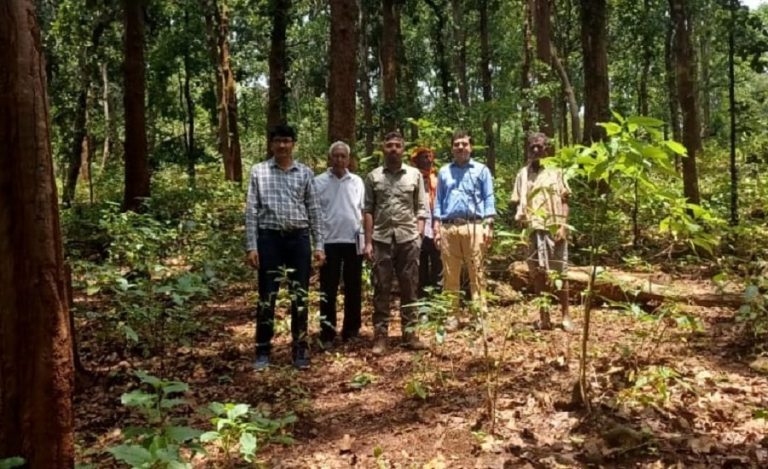 Dr PC Dubey’s Mission to Keep Tribal Medicine Alive