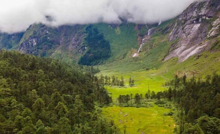 forest land diversion