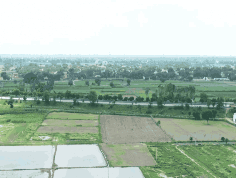Bhoodan Land Dispute