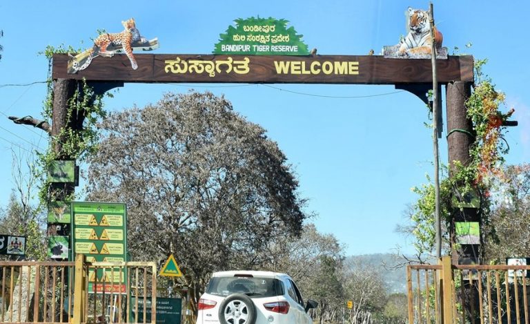 Bandipur Tiger Reserve