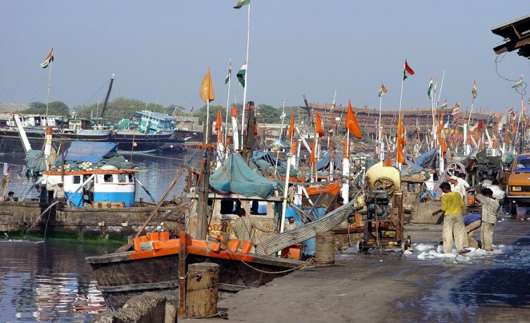 Gujarat marine fish