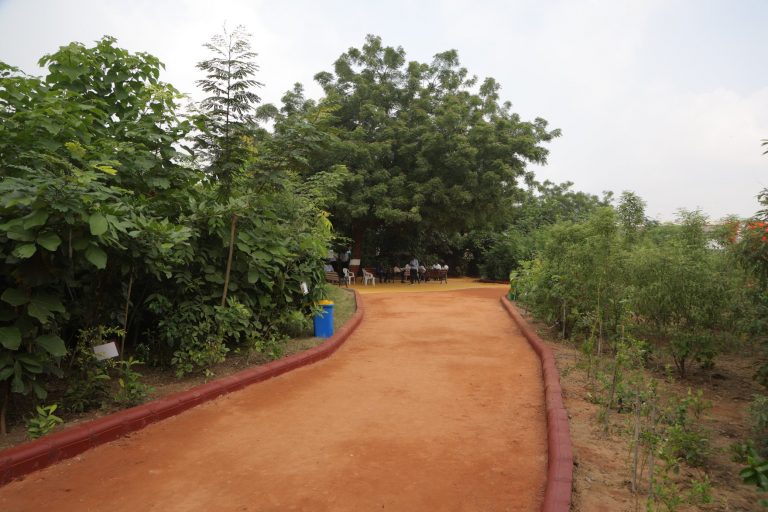 India forest area ranking 2025