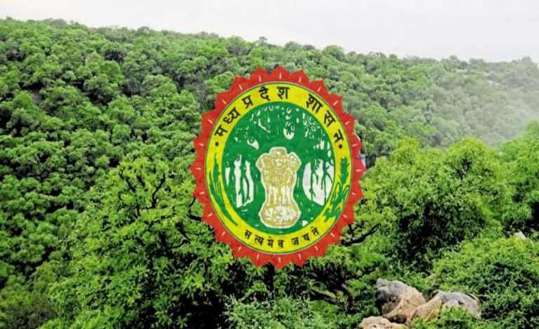 MP Forest Recruitment - 2
