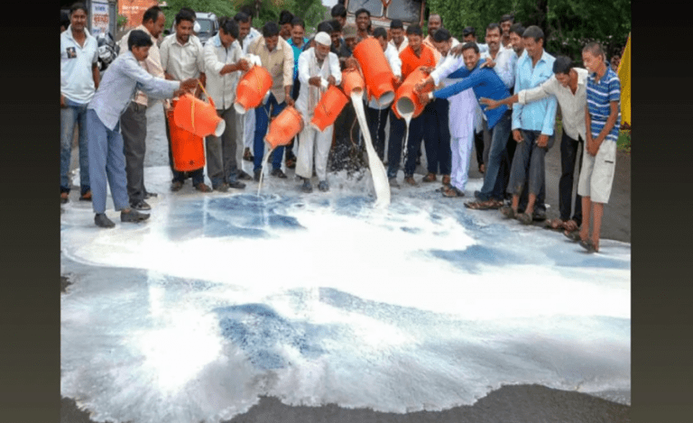 Milk Production