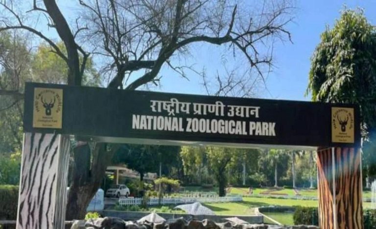 Delhi Zoo H5N1 Bird Flu Update