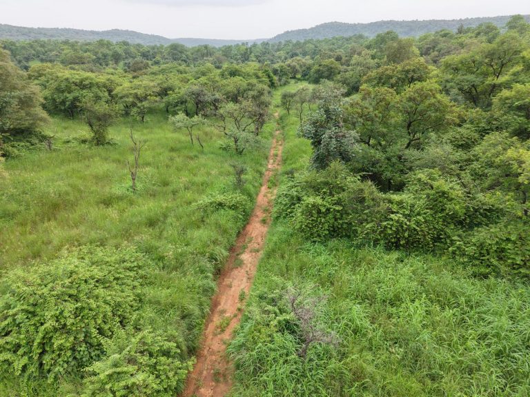 Bandhavgarh Tiger Reserve safari vehicles controversy