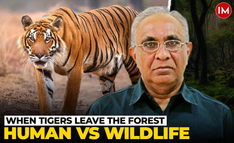 Dr H S Singh on Translocating Tigers