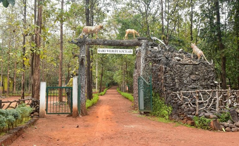 mhadei-wildlife-sanctuary