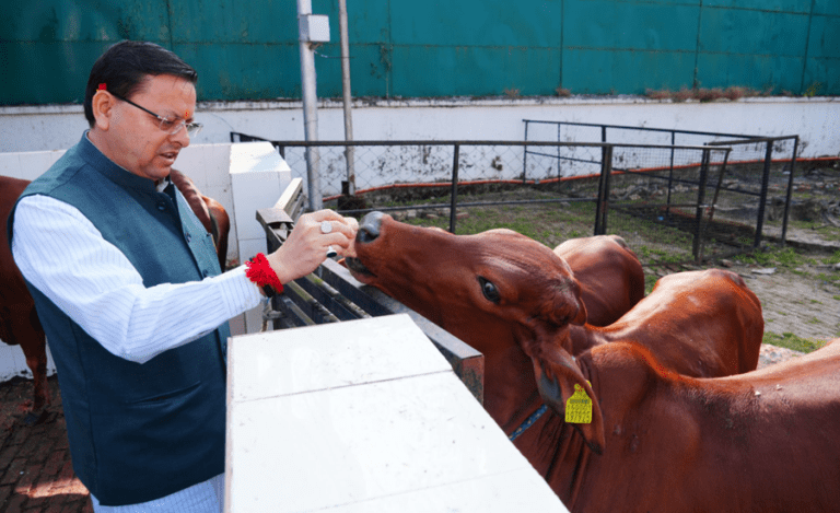 Pushkar Singh Dhami Cow