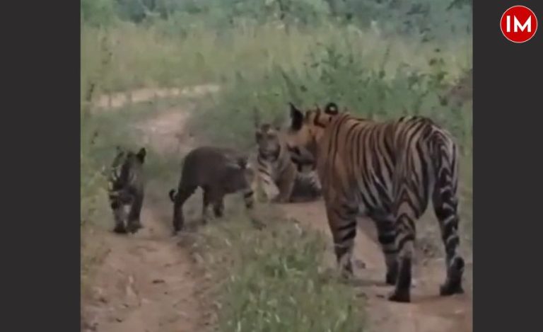 Satpura Tiger Reserve