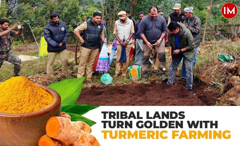 Turmeric Farming