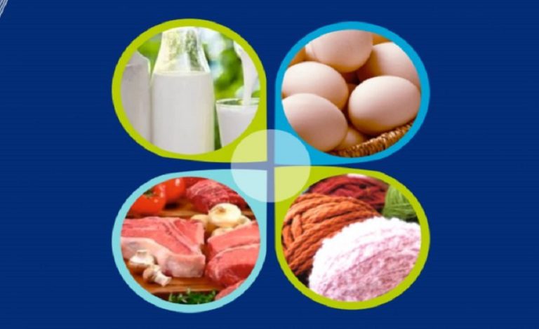 milk egg meat production growth