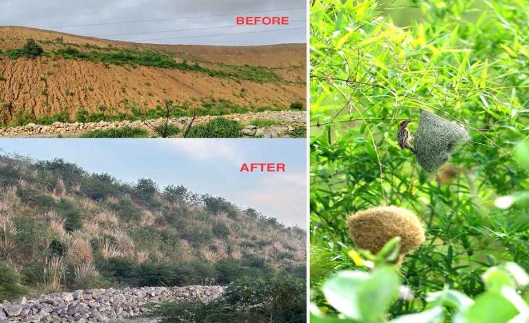 hagshagshagsah_11zon