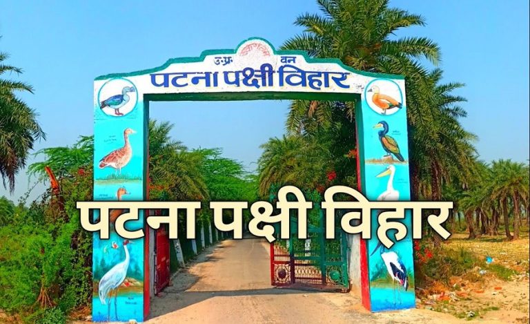 Etah’s Patna Bird Sanctuary