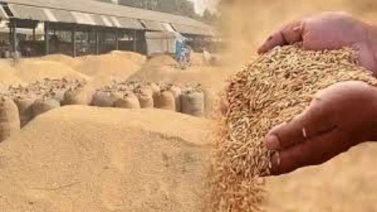 Chhattisgarh Sets New Record in Paddy Procurement