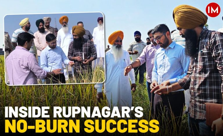 WhatsApp Image 2026-01-31 at 2.47