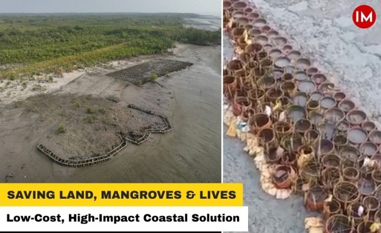 Terracotta Rings: Ancient Technique Protecting the Sundarbans from Rising Seas