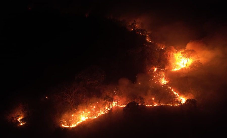 Arunachal Pradesh Forest Fire