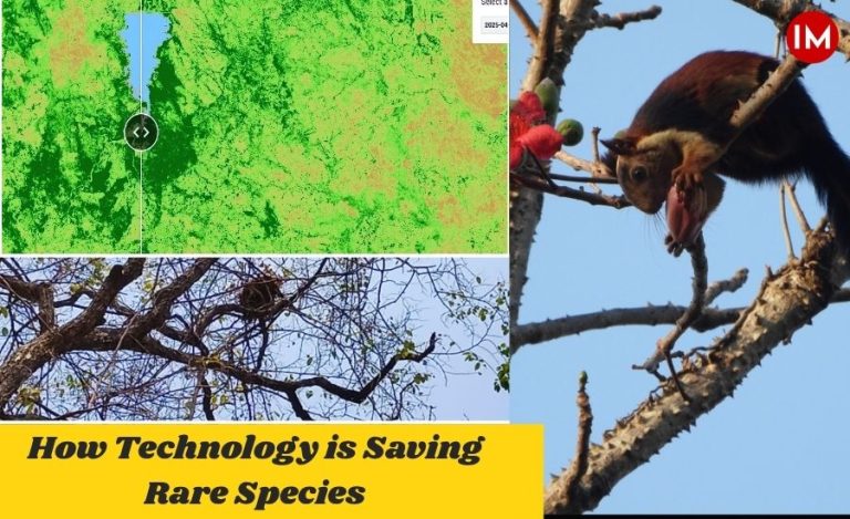 AI, Forest Wisdom and Community Action Revive Rare Wildlife in Chhattisgarh’s Udanti-Sitanadi Tiger Reserve