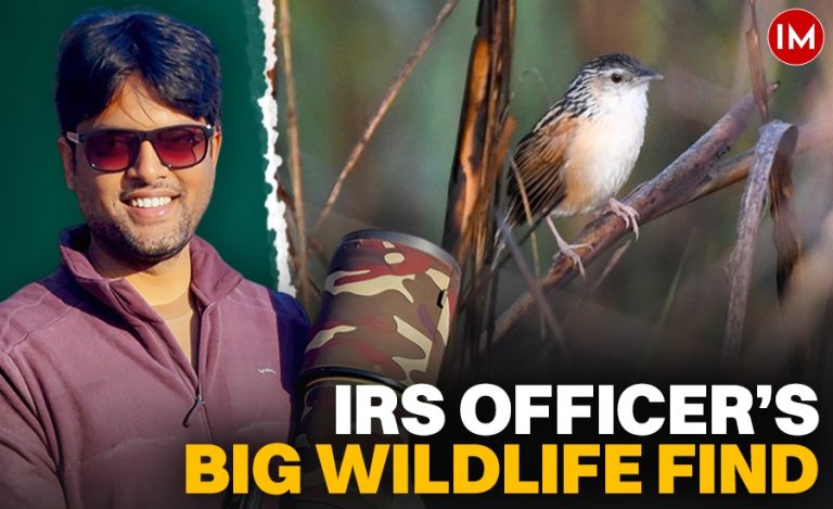 WhatsApp Image 2026-04-01 at 4.14