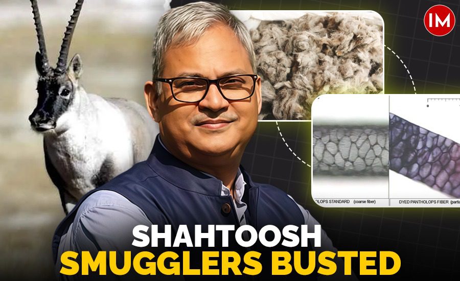 Ramesh Pandey | Shahtoosh