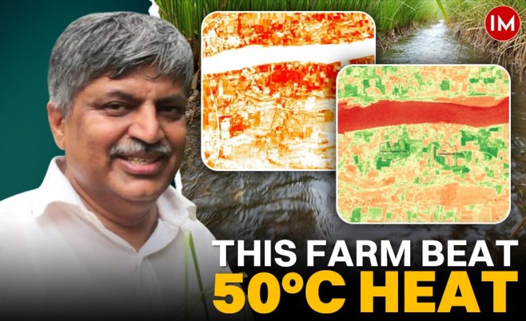 vetiver patanjali (1)