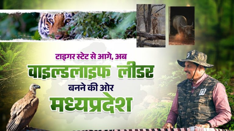Female Cheetahs Set to Roam Free in Kuno as CM Mohan Yadav Transforms Madhya Pradesh from Tiger State to Wildlife Leader