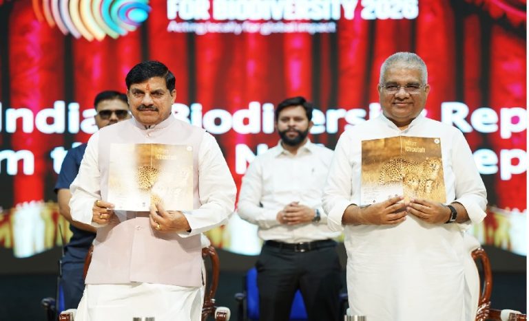 cm yadav