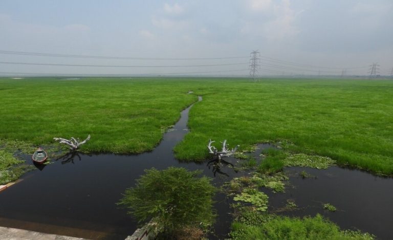 ndia Adds 100th Ramsar Site: Jai Prakash Narayan Bird Sanctuary in UP’s Ballia Earns Global Wetland Recognition