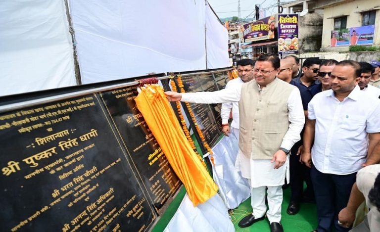cm dhami